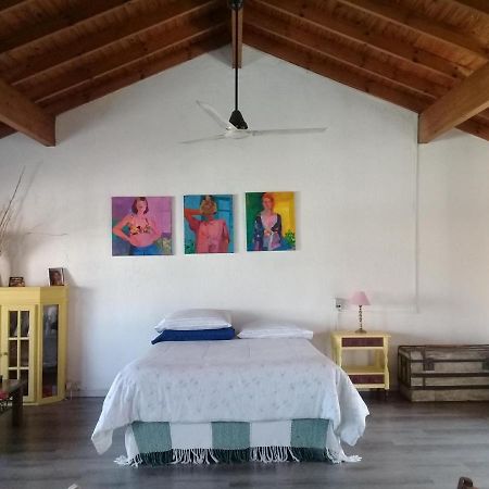 La Casa De Los Murales Avellaneda  Luaran gambar